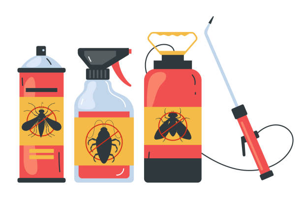 Best Wasp Removal Services  in Los Ranchos De Albuquerque, NM